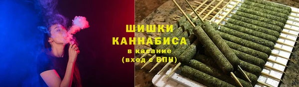 Альфа ПВП Гусев