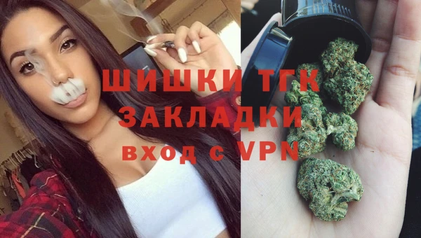 Альфа ПВП Гусев
