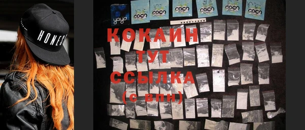 альфа пвп Гусиноозёрск