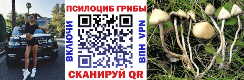 Псилоцибиновые грибы Magic Shrooms что такое наркотик Нижневартовск